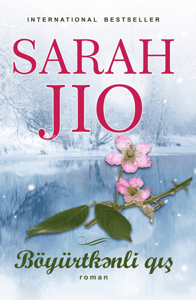 Kitab Böyürtkənli Qış – Sarah Jio