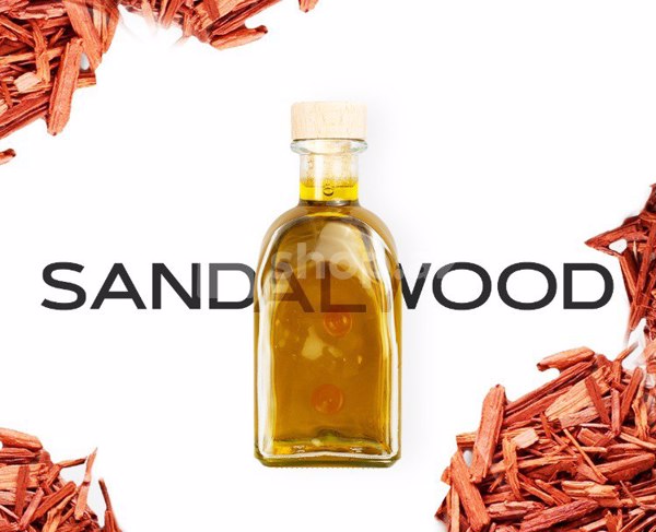 Aromatik yağ Aromart Sandalwood 70502_100 ml