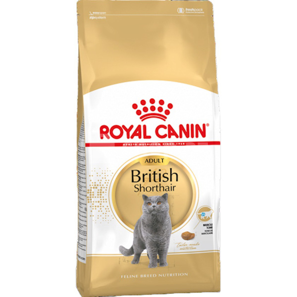 Quru yem Royal Canin British Shorthair 13 kq