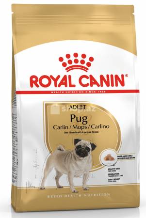 Itlər üçün yem Royal Canin BHN PUG ADULT 1.5KG SUD 18D