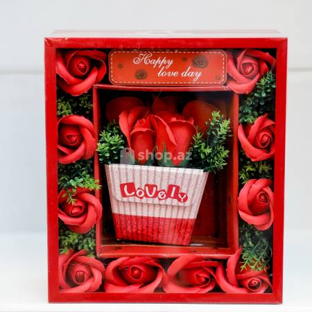 Maraqlı hədiyyə Elisoy GF036