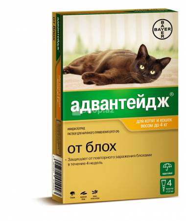 Pişiklər üçün damcilar Bayer Advantage 4 cat bl