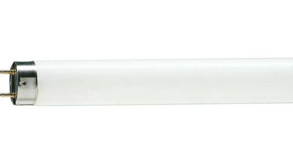 Xətti lampa Philips TL-D 18W/54-765 1SL/25