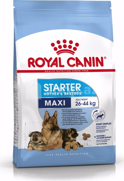 Quru yem Royal Canin Maxi Starter Mother & Babydog 