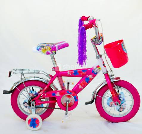 Uşaq velosipedi Gina Kids Winx Magic 12
