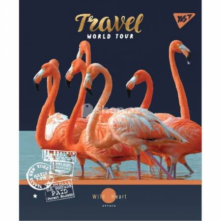  Düz xətt (ana dili) Dəftər YES WILD ANIMALS 764333