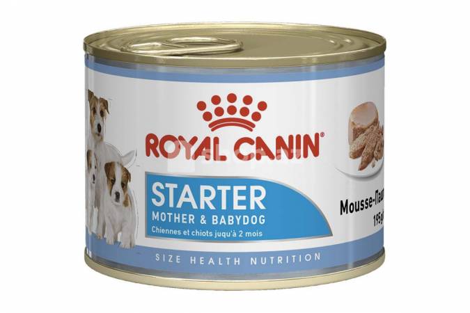 Itlər üçün yem Royal Canin STARTER MOUSSE195 G
