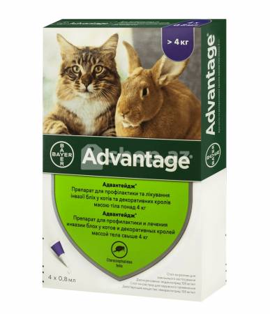  Pişiklər üçün damcilar Bayer Advantage 4 cat d