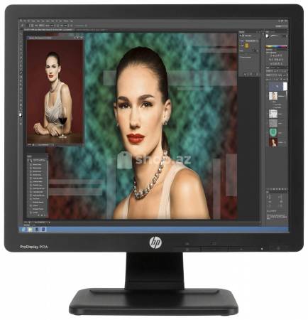 Monitor HP ProDisplay P17A 17-inch 5:4 LED (F4M97AA)