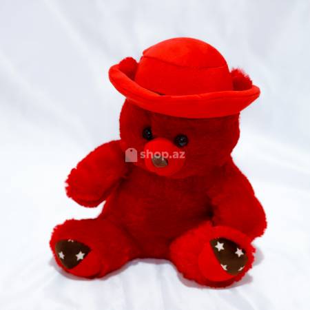 Yumşaq oyuncaq Teddy Bears TB2521